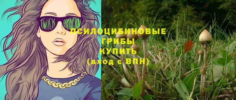 Псилоцибиновые грибы Magic Shrooms  где продают   hydra ONION  Кумертау 